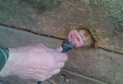 Прикрепленное изображение: 0fb0184f73.jpg